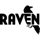 Raven Tools